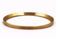 Seal Hoop Check Valve Body
